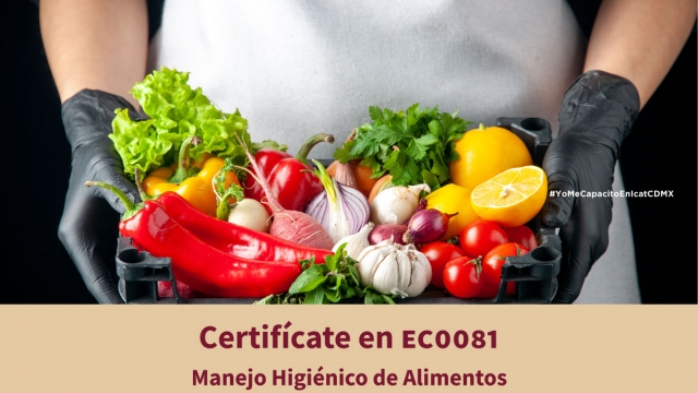 Manejo Higiénico de Alimentos