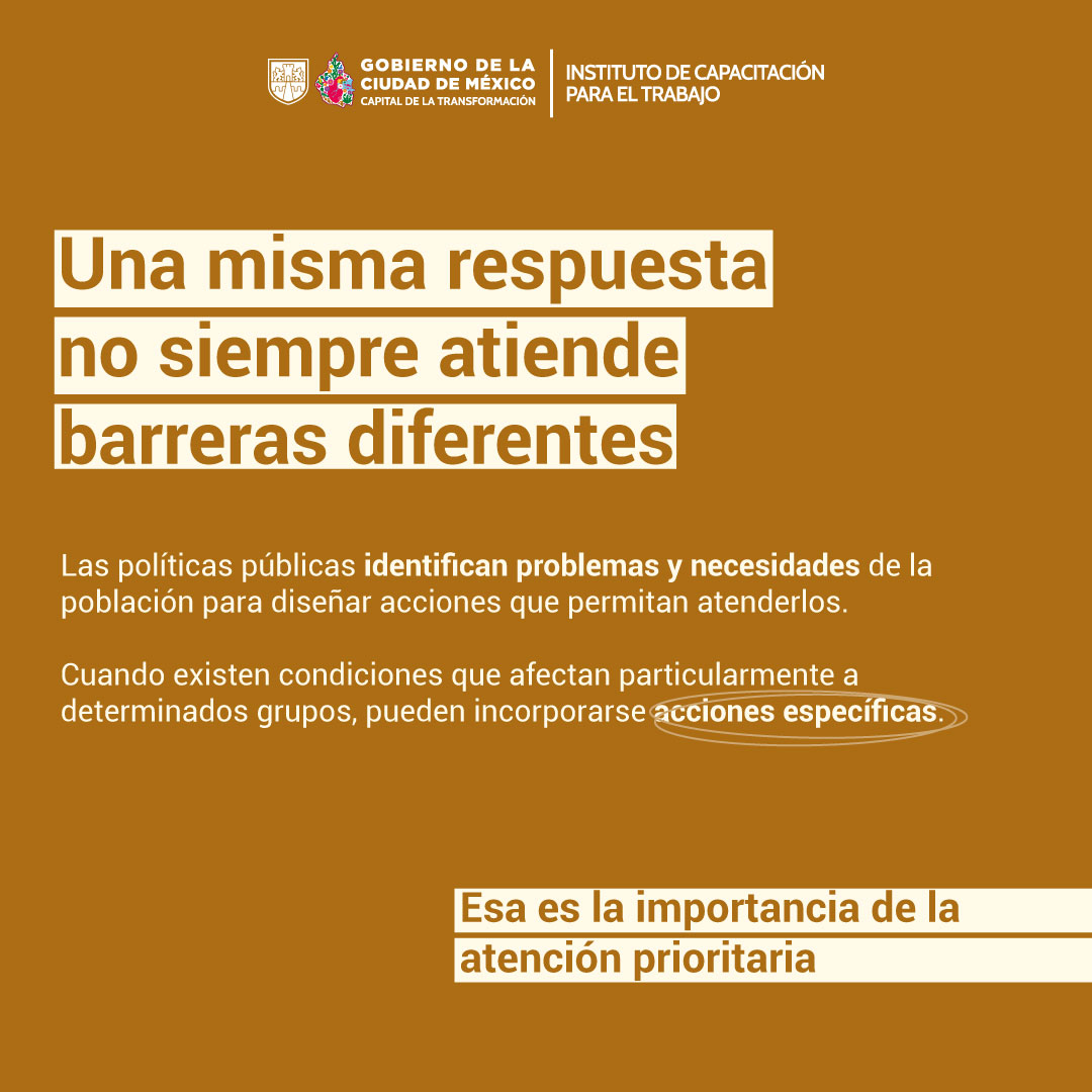 lamina-cuatro.jpg